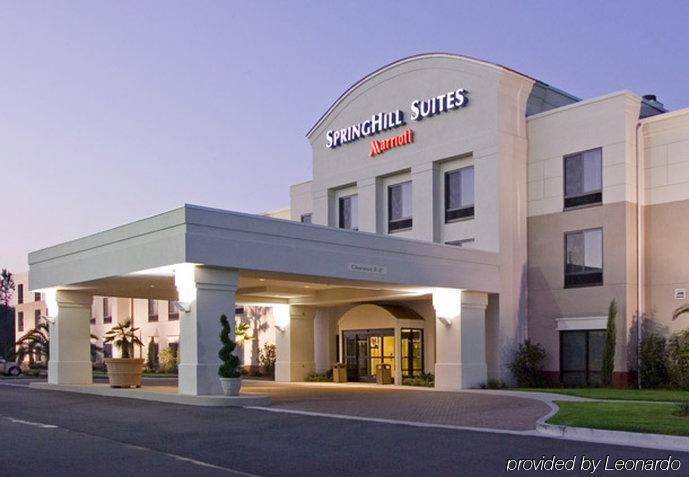 Springhill Suites By Marriott Corpus Christi Exterior foto